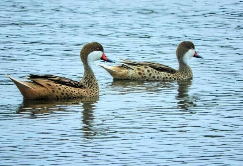 هتل Hacienda Guamito