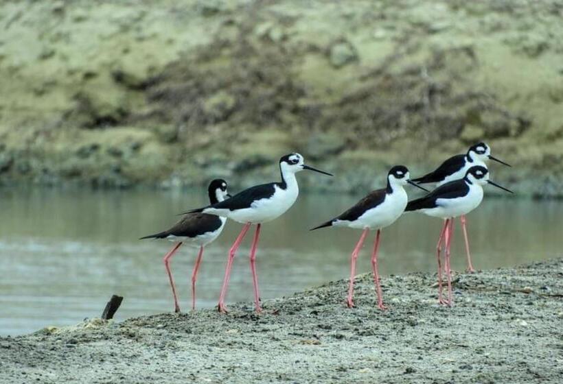 هتل Hacienda Guamito