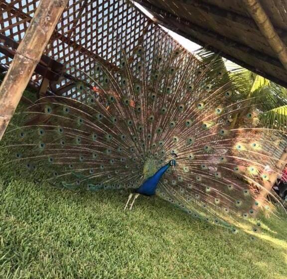 هتل Hacienda Guamito