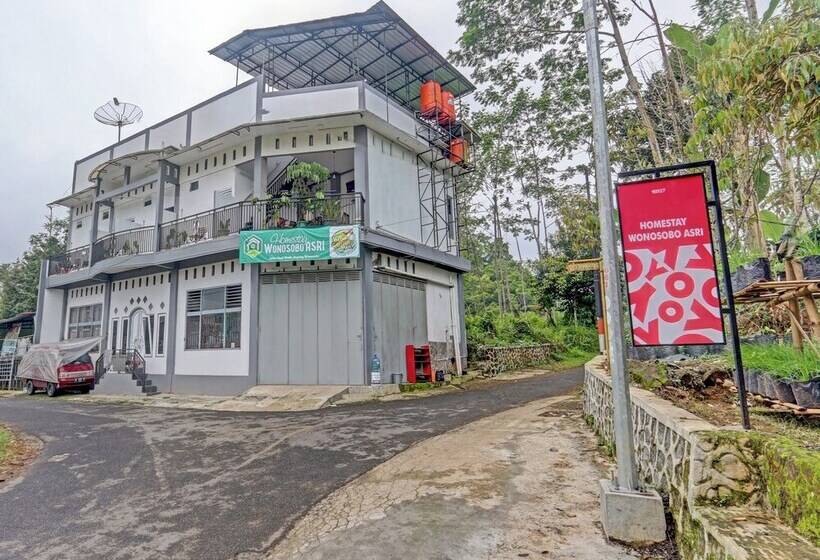 בית מלון כפרי Oyo 90517 Homestay Wonosobo Asri