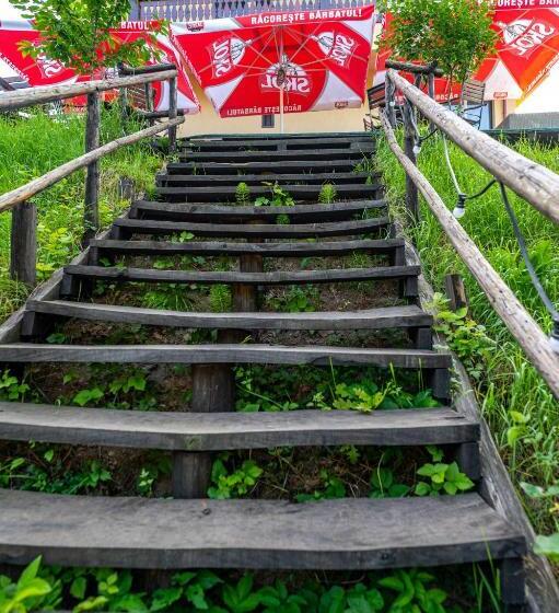 Отель Pensiunea Visaventura