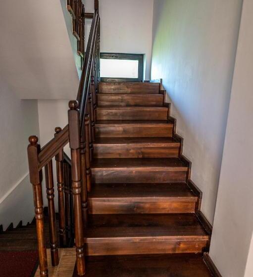 Отель Pensiunea Visaventura