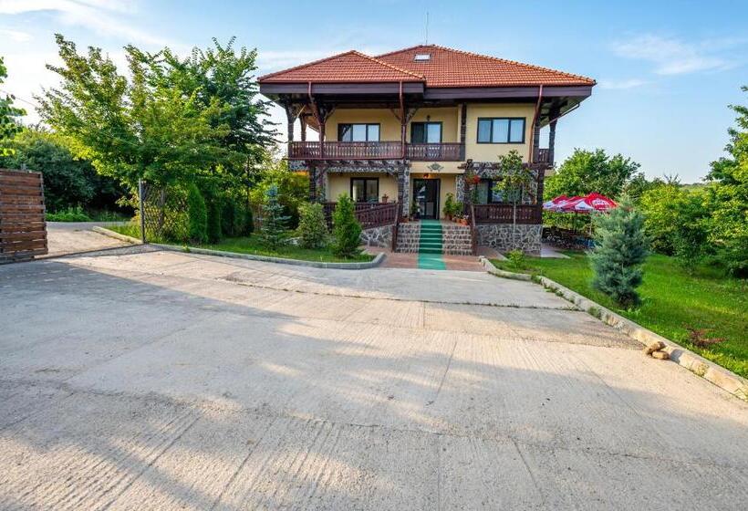 Отель Pensiunea Visaventura