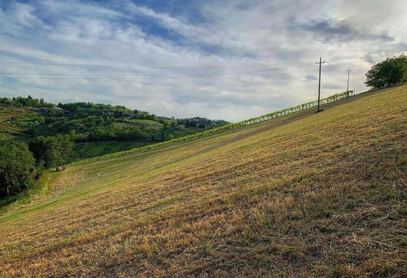 ホテル Podere Baratta Agriturismo E Cantina