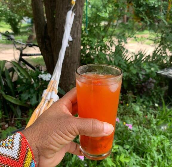 בית מלון כפרי Pousadinha Da Lulu   Pontal Mangue Seco