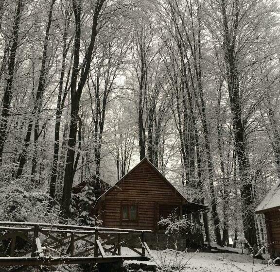 호텔 база відпочинку шиповець