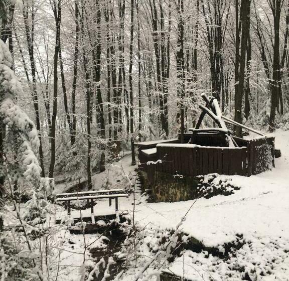 호텔 база відпочинку шиповець