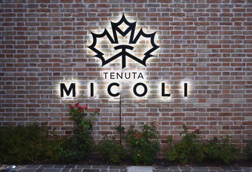 בית מלון כפרי Tenuta Micoli