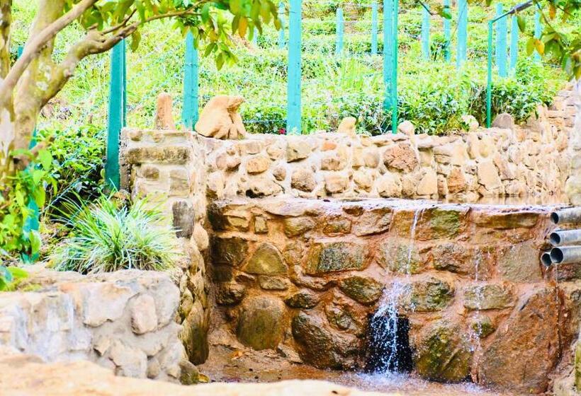 فندق Trinitons River Side Villas