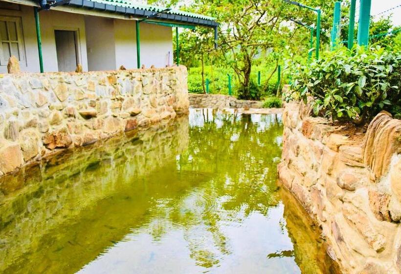 ホテル Trinitons River Side Villas
