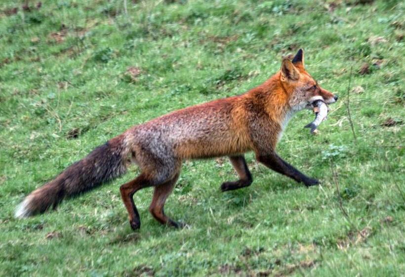 هتل Urdaibai Bird Center
