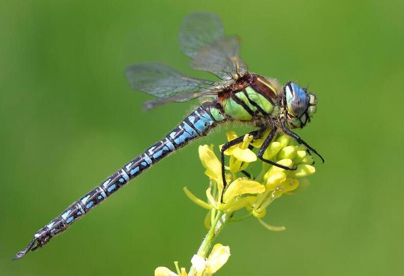 هتل Urdaibai Bird Center
