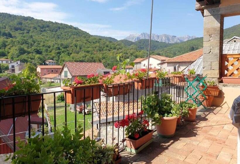 膳宿费 Coletti Pietro Snc