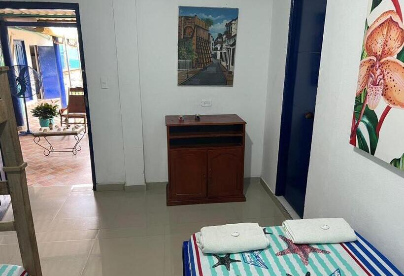 פנסיון Cabaña San Jose Beach