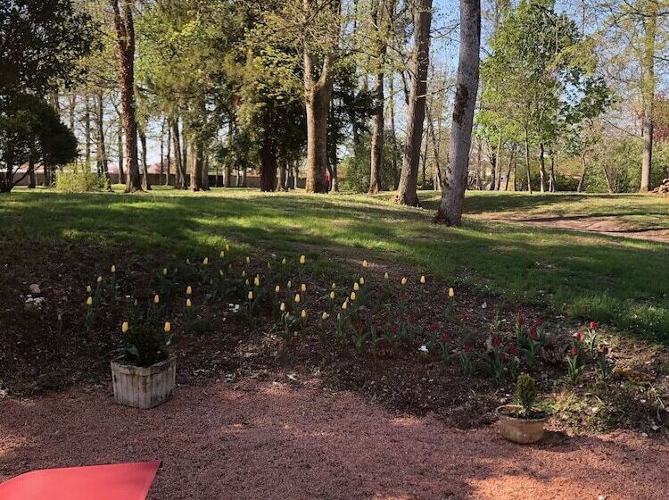 بنسيون Château De Charmeil  Vichy Chambres D Hôtes