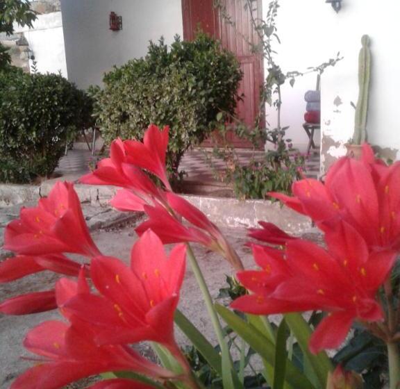 پانسیون Ferme Walila