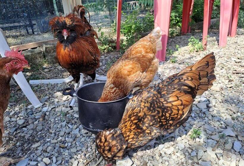 膳宿费 Grazzano Antica Stazione