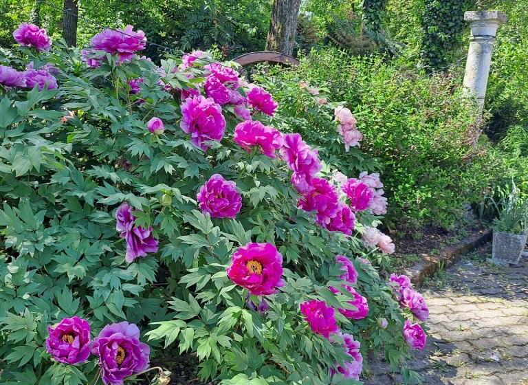 بنسيون Grazzano Antica Stazione