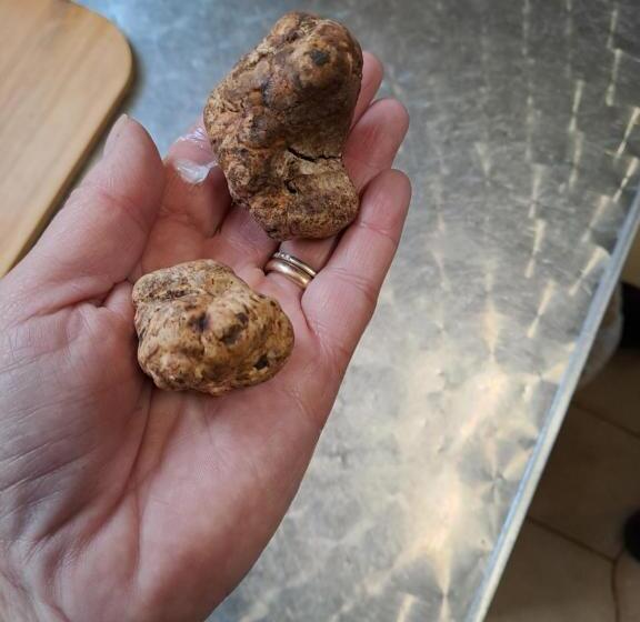 ペンション Grazzano Antica Stazione