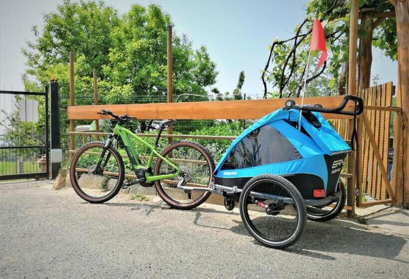 بنسيون Le Moie