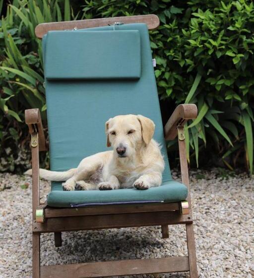 Пансион Manoir De La Croix Saint Louis Luxury Guest House