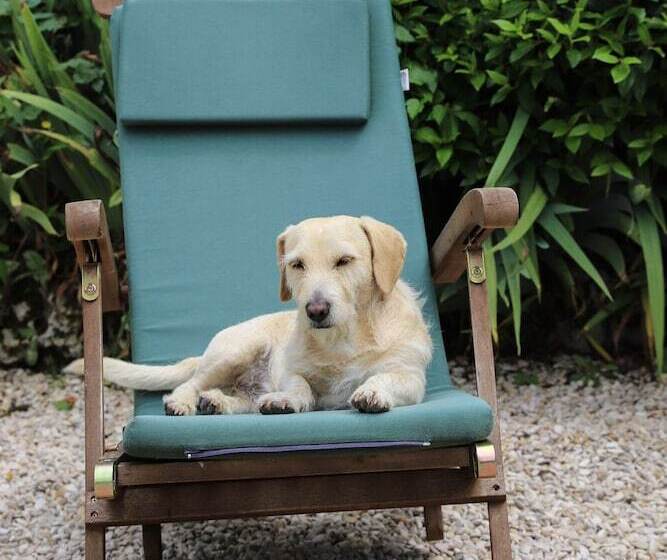 Пансион Manoir De La Croix Saint Louis Luxury Guest House