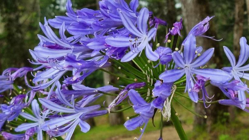 膳宿费 Mountain View Lodge