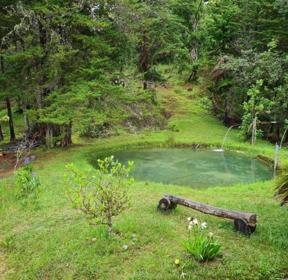 膳宿费 Mountain View Lodge