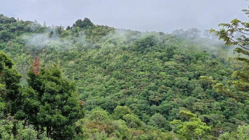 膳宿费 Mountain View Lodge