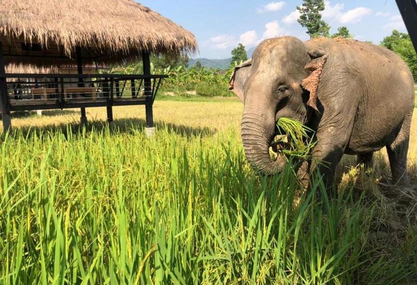 펜션 Paiberngboc Resort