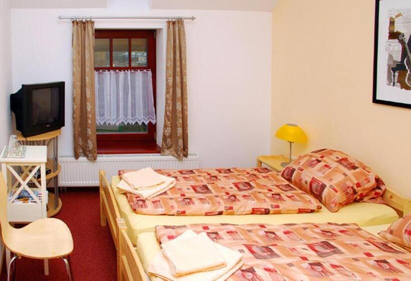 פנסיון Penzion Apex