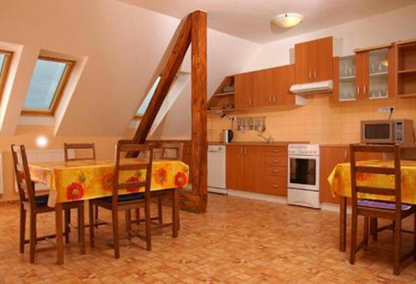 פנסיון Penzion Apex