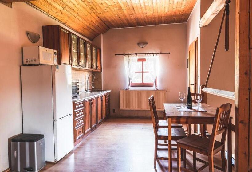 פנסיון Penzion Selský Dvůr Braňany