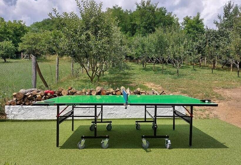 Пансион Pipacs és Tulipán Vendégház