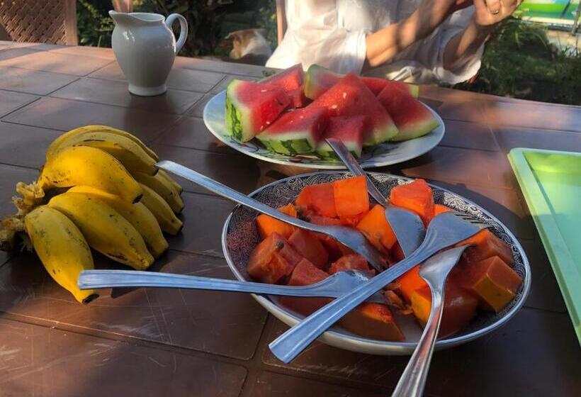 Пансион Villa Nemo