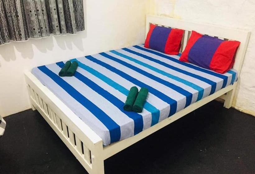 Пансион White House