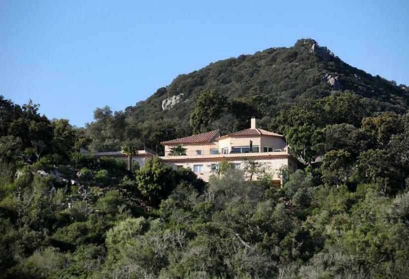 Residence Punta Serena