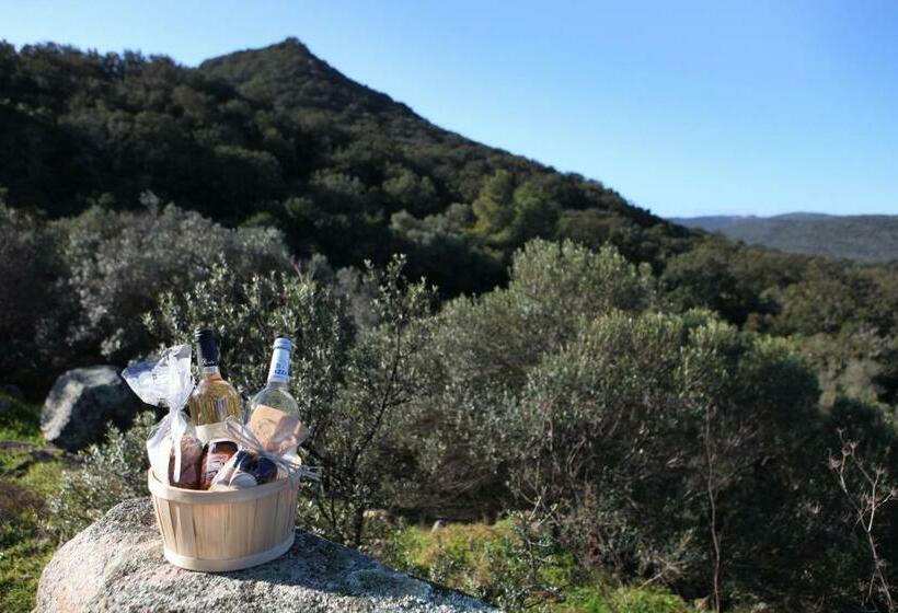 Residence Punta Serena