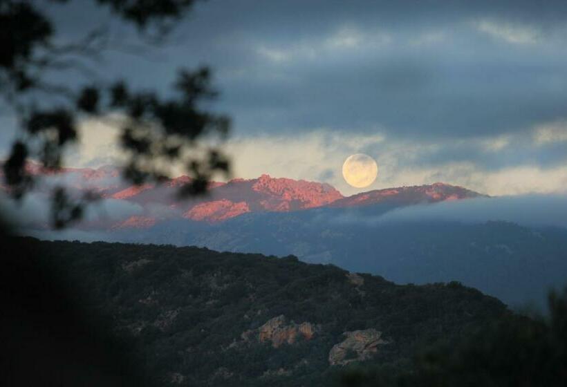 Residence Punta Serena