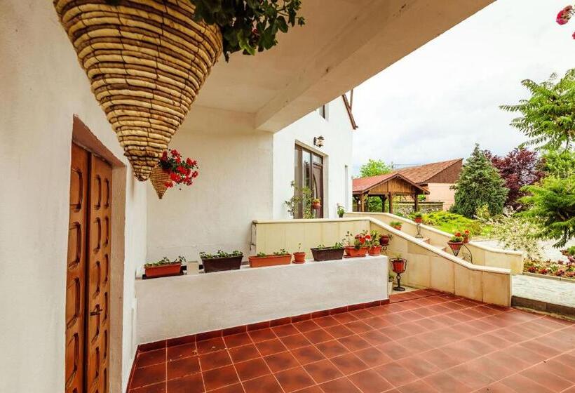 渡假胜地  Pensiunea Iris