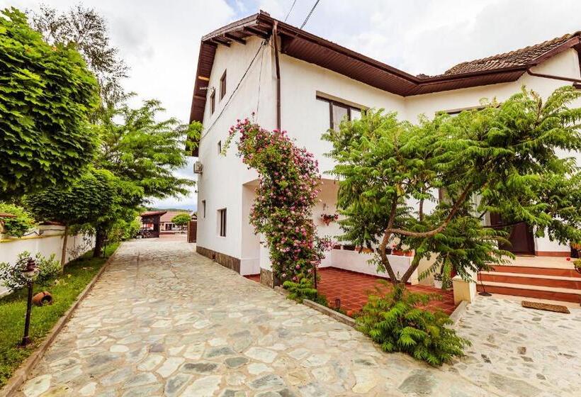 渡假胜地  Pensiunea Iris