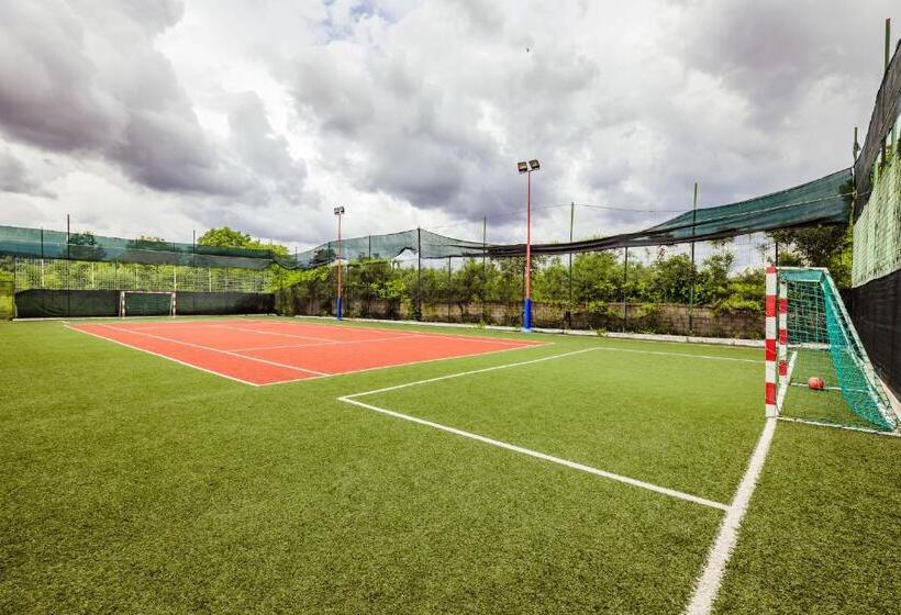 渡假胜地  Pensiunea Iris