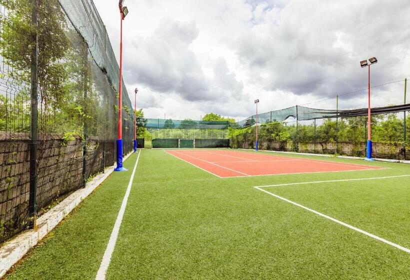 渡假胜地 Pensiunea Iris