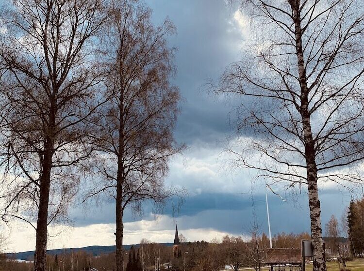 Bergsgården Hotell & Konferens