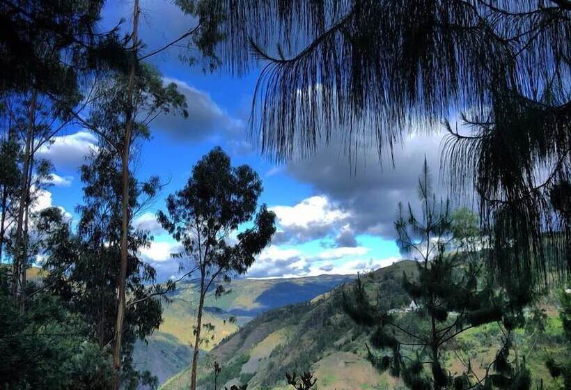Gaia Sagrada Ayahuasca Retreat Center   Hostel