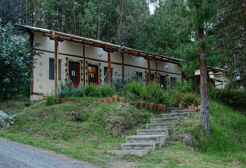 Gaia Sagrada Ayahuasca Retreat Center   Hostel