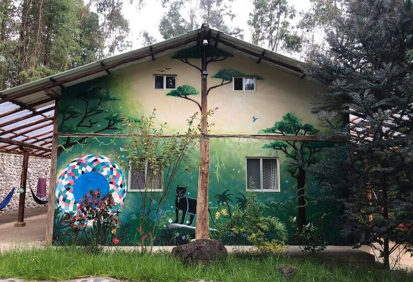 Gaia Sagrada Ayahuasca Retreat Center   Hostel