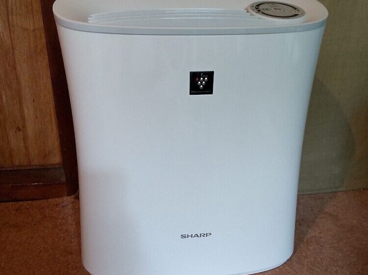 Guest House Connect   Hostel