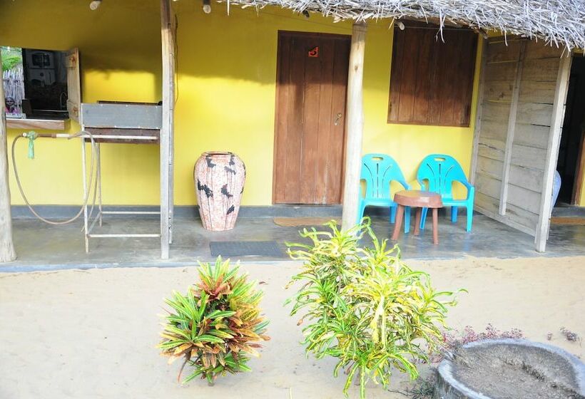 Отель Dolphin Village