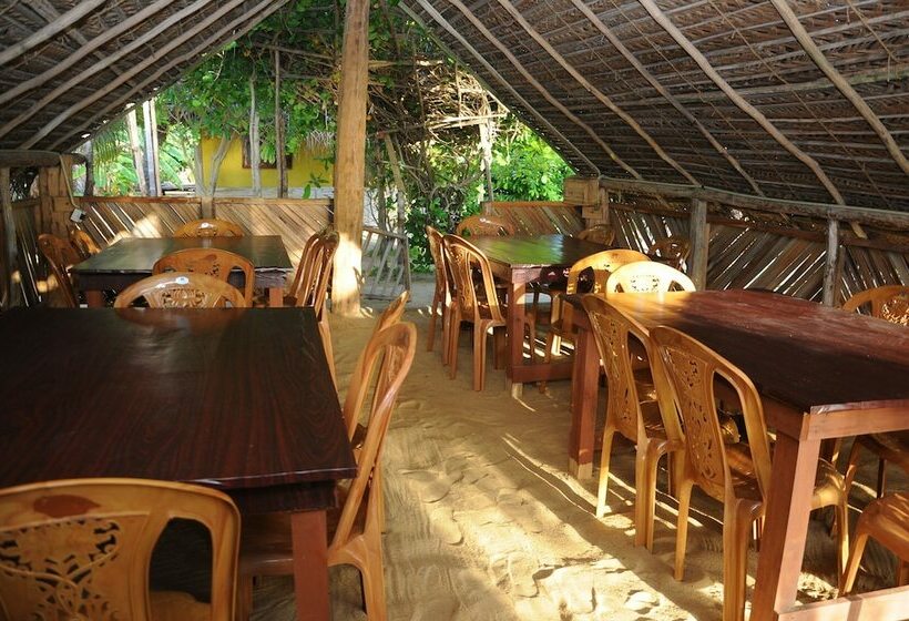 Отель Dolphin Village